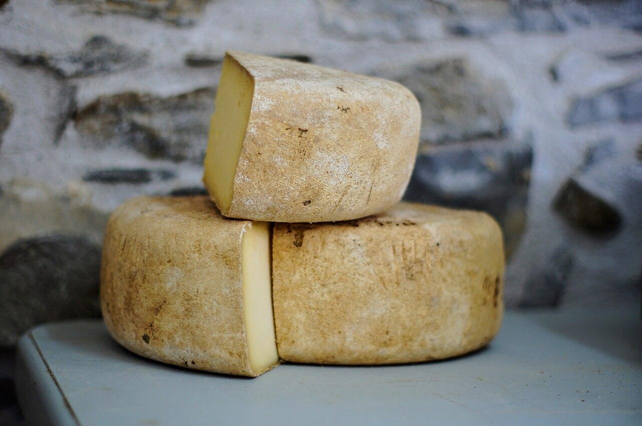 Formas de queijo cortadas sobre uma bancada
